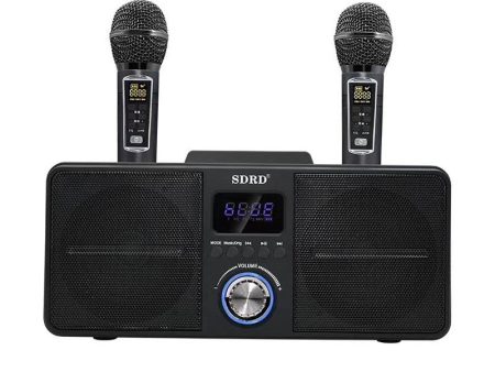 Dual Wireless Microphone Bluetooth Speaker Mobile Karaoke Sale